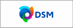 DSM 로고