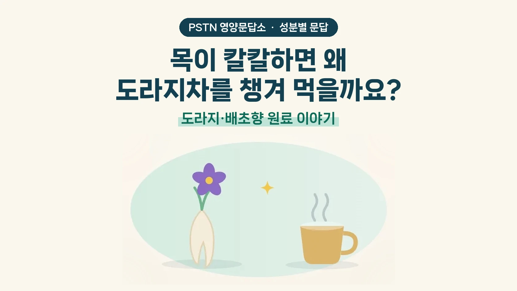 목이 칼칼하면 왜 도라지차를 챙겨 먹을까요? - 도라지·배초향 원료 이야기