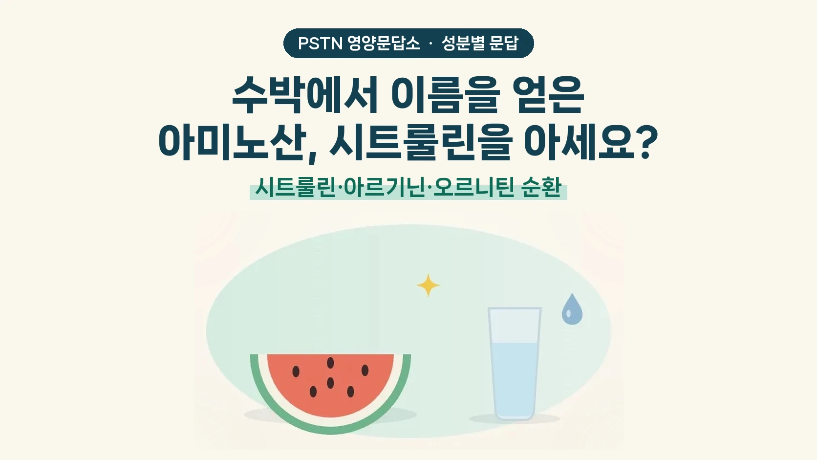 수박에서 이름을 얻은 아미노산, 시트룰린을 아세요? - 시트룰린·아르기닌·오르니틴 순환