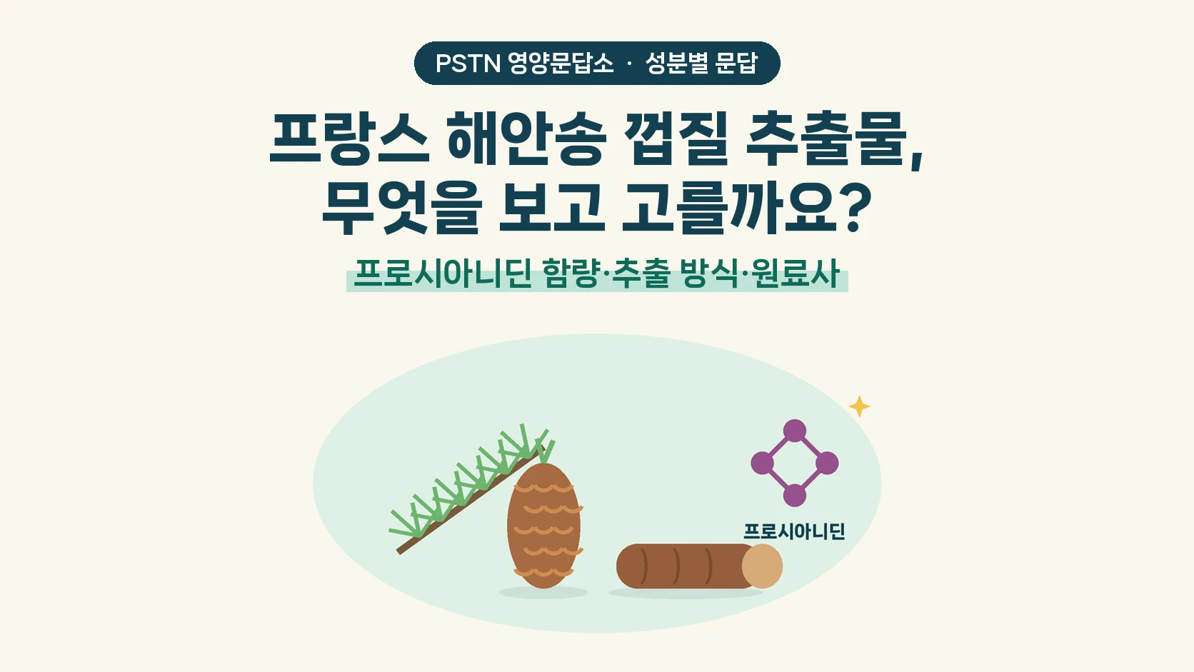 프랑스 해안송 껍질 추출물, 무엇을 보고 고를까요? - 프로시아니딘 함량·추출 방식·원료사
