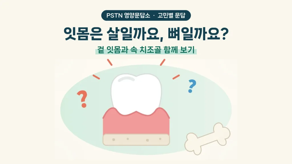 잇몸은 살일까요, 뼈일까요? - 겉 잇몸과 속 치조골 함께 보기