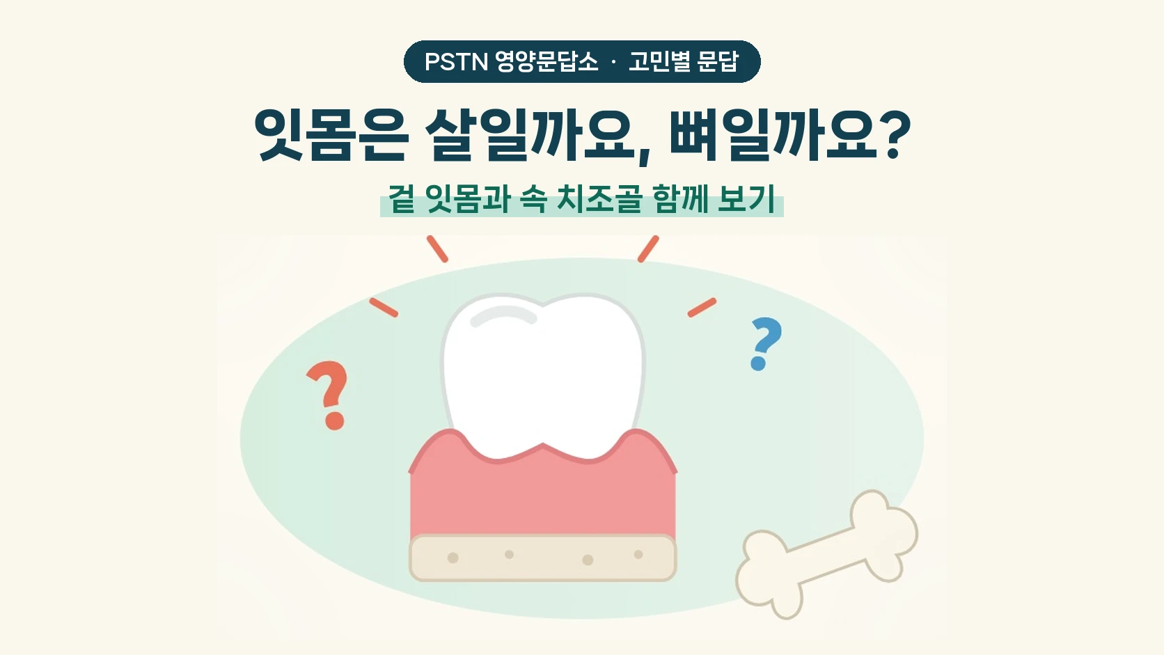 잇몸은 살일까요, 뼈일까요? - 겉 잇몸과 속 치조골 함께 보기