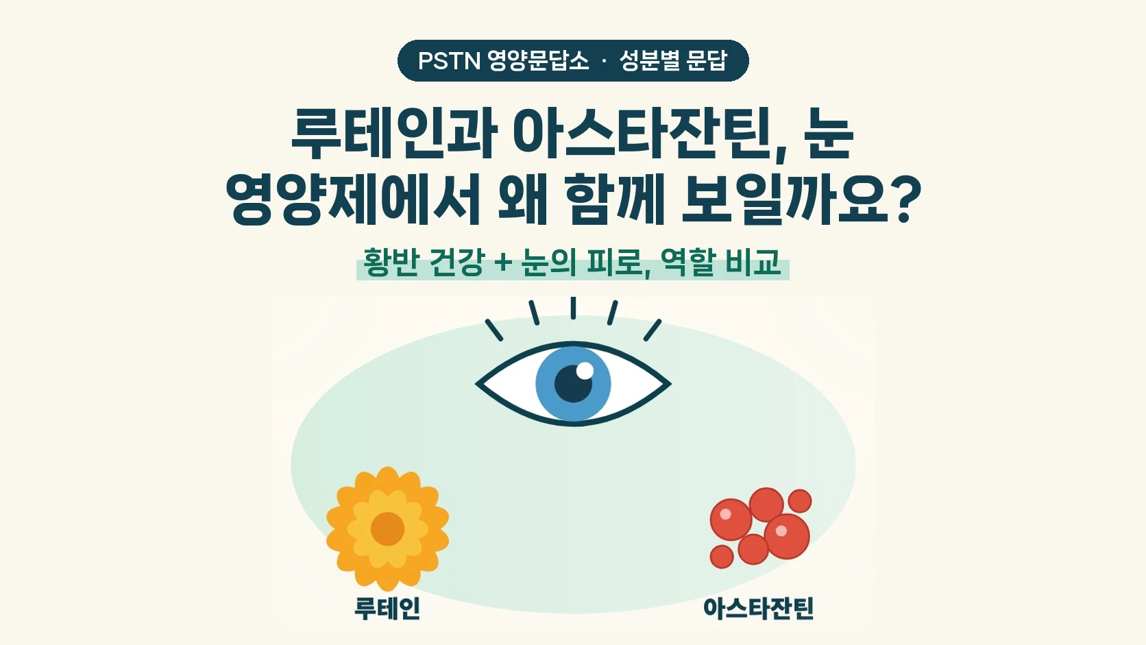 루테인과 아스타잔틴, 눈 영양제에서 왜 함께 보일까요? - 황반 건강 + 눈의 피로, 역할 비교