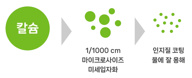 마이크로 입자화와 인지질 코팅 칼슘